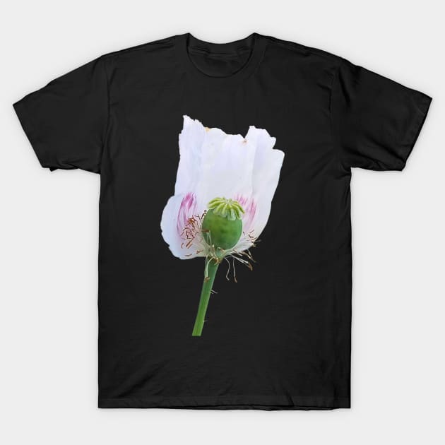 White Poppy Flower T-Shirt by DesignMore21